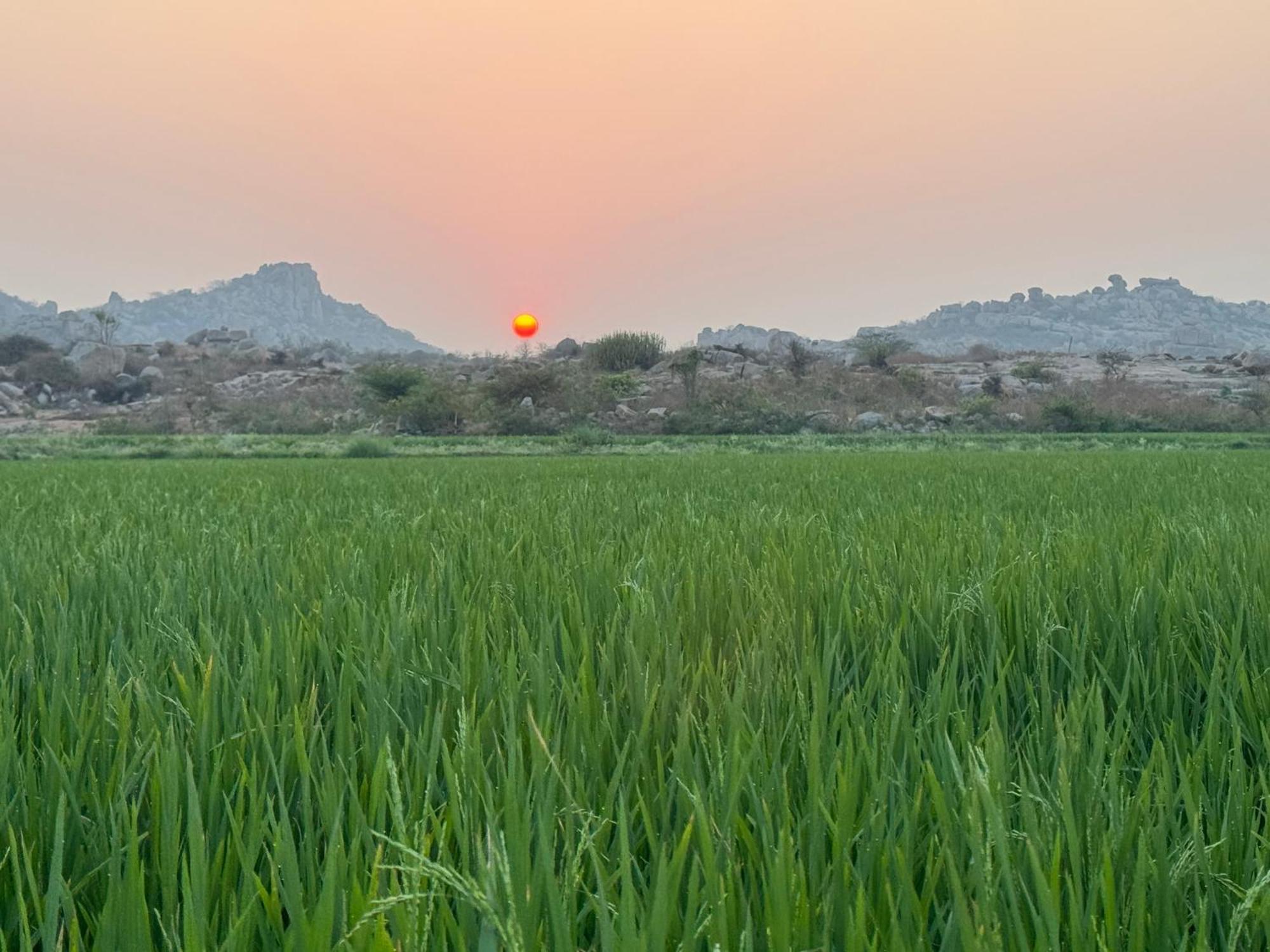 Hill Stone View Hampi Hotel Exterior foto